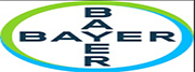 بایر